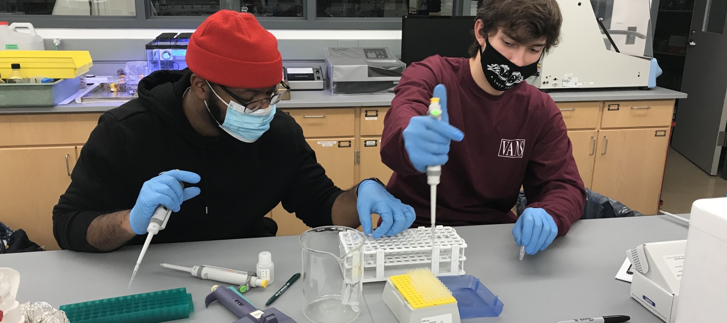 Students pipetting